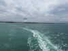 20220619105329-DSCN3014.JPG