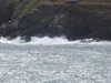 20220619105350-DSCN3015.JPG