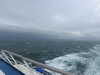 20220619144054-DSCN3037.JPG