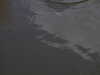 20220625144528-DSCN3182.JPG