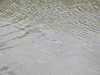 20220625144533-DSCN3183.JPG