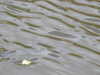 20220625144536-DSCN3184.JPG