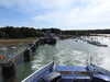 20220626175923-DSCN3186.JPG