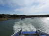 20220626180008-DSCN3189.JPG