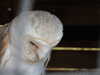 20220723151916-DSCN3240.JPG