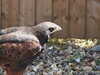 20220723152010-DSCN3244.JPG