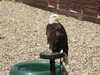 20220723152104-DSCN3246.JPG