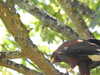 20220723153429-DSCN3252.JPG