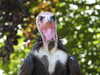 20220723155506-DSCN3264.JPG