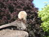 20220723160256-DSCN3274.JPG