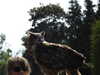 20220723162612-DSCN3282.JPG