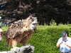 20220723162937-DSCN3292.JPG