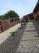 20220723174835-DSCN3310.JPG