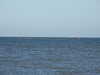 20220723195407-DSCN3324.JPG