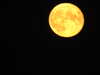 20220812224420-DSCN3360.JPG