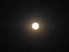 20220812224615-DSCN3363.JPG