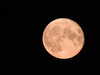 20220812224622-DSCN3364.JPG