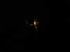 20220812225241-DSCN3371.JPG
