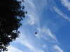 20220828200027-DSCN3444.JPG