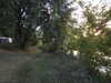 20220828200200-DSCN3450.JPG