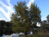 20220828200228-DSCN3451.JPG