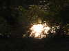 20220828200319-DSCN3453.JPG