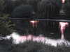 20220828205959-DSCN3459.JPG