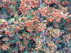 20220829202352-DSCN3461.JPG