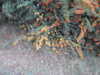 20220829202409-DSCN3462.JPG