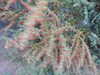 20220829202413-DSCN3463.JPG