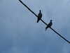 20220829202642-DSCN3465.JPG