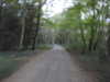 20220829203715-DSCN3471.JPG