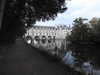20220829204750-DSCN3474.JPG