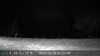 2022-08-30:Chenonceau Wildlife
