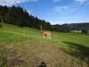 20220903093604-DSCN3486.JPG