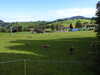 20220903093612-DSCN3487.JPG