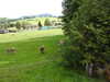 20220903093615-DSCN3488.JPG