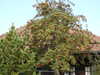 20220903095255-DSCN3497.JPG