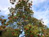 20220903095340-DSCN3498.JPG
