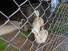 20220903095359-DSCN3499.JPG