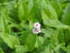 20220903095635-DSCN3504.JPG