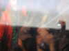 20220904121504-DSCN3546.JPG