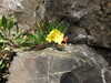 20220904123510-DSCN3564.JPG