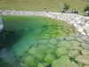 20220904124118-DSCN3573.JPG