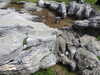 20220904125117-DSCN3580.JPG