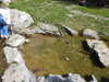 20220904125136-DSCN3582.JPG