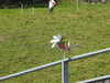 20220904130557-DSCN3593.JPG