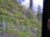 20220904151316-DSCN3635.JPG