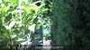 20220904154419-DSCF0101.JPG