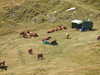 20220908134756-DSCN3682.JPG